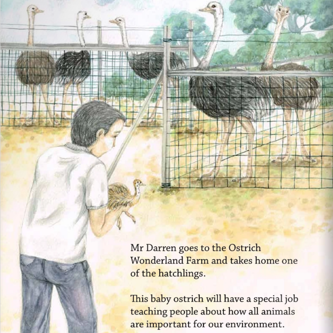 Chickaboo the Runaway Ostrich