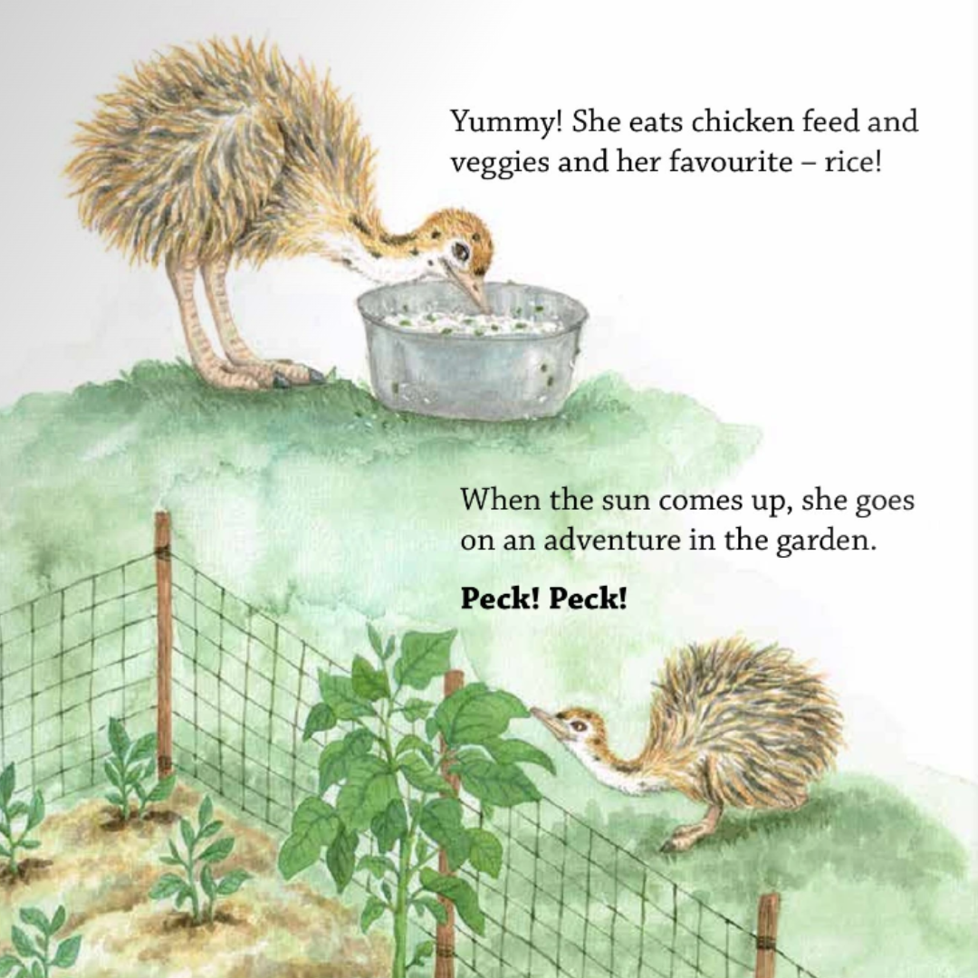 Chickaboo the Runaway Ostrich