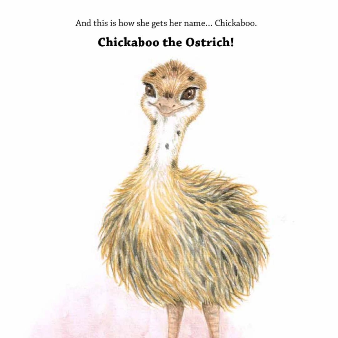 Chickaboo the Runaway Ostrich