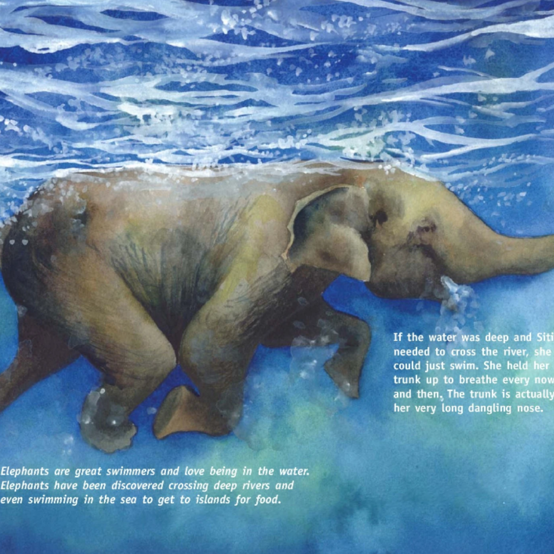 Siti the Elephant