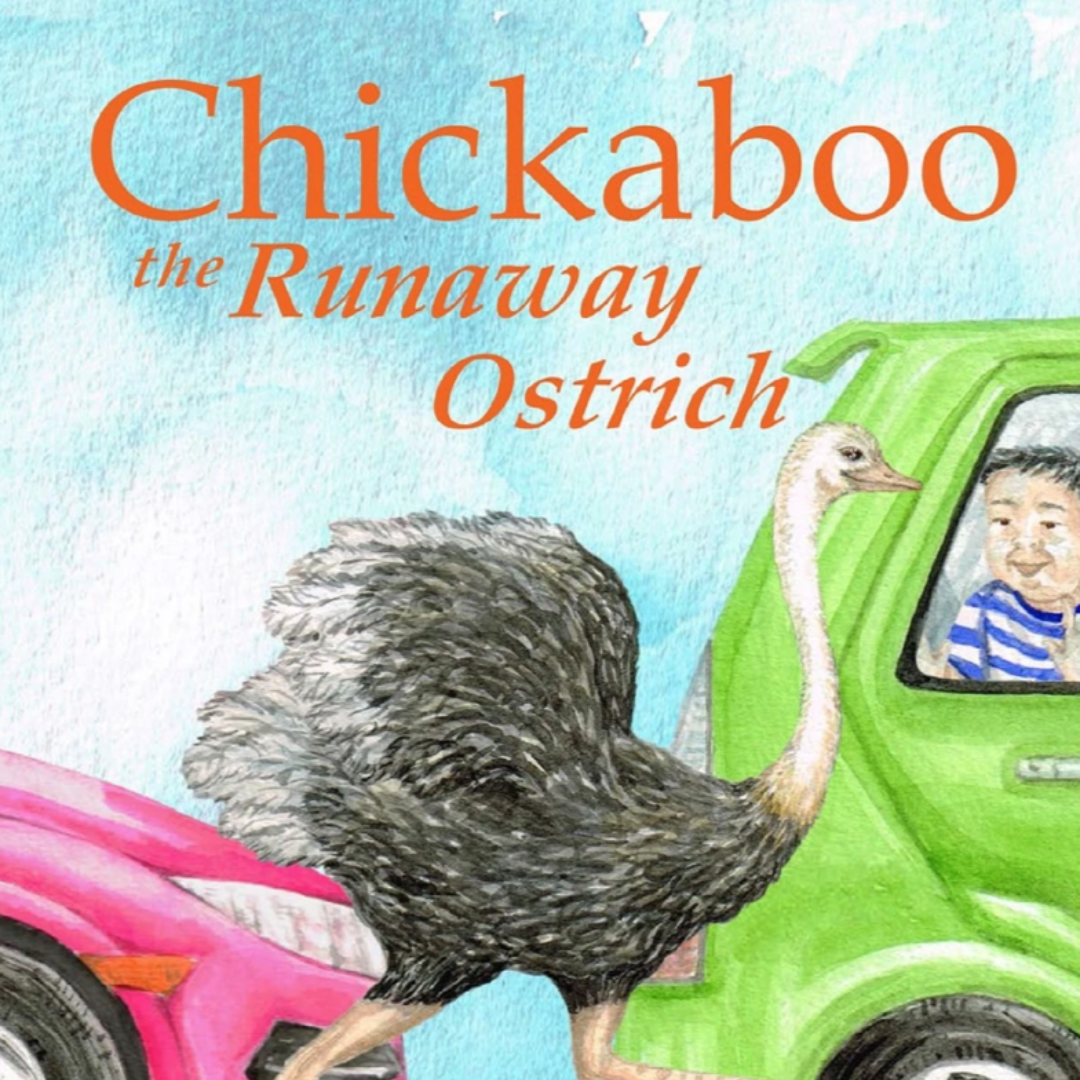Chickaboo the Runaway Ostrich